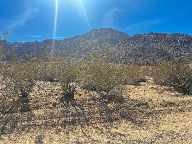Photo - 3 Bedroom 2 bath Home in 29 Palms