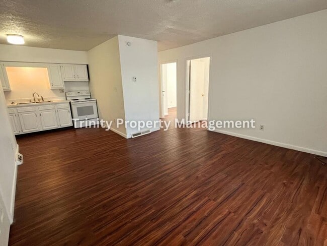 Photo - 53 Marion St