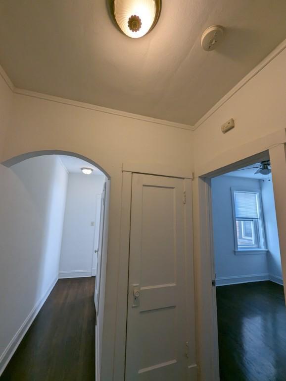 Photo - 1 bedroom in CHICAGO IL 60626 Unit 3