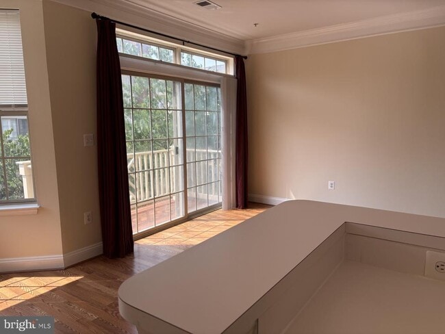 21156 Domain Terrace