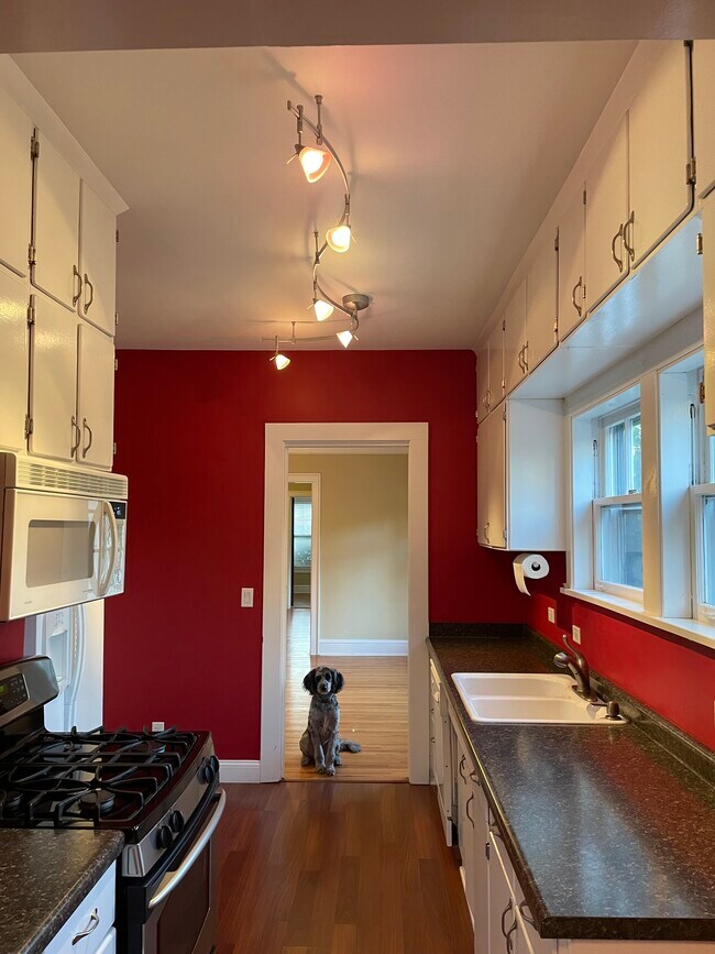 kitchen into living area - 2523 LeClaire St Unit 2523