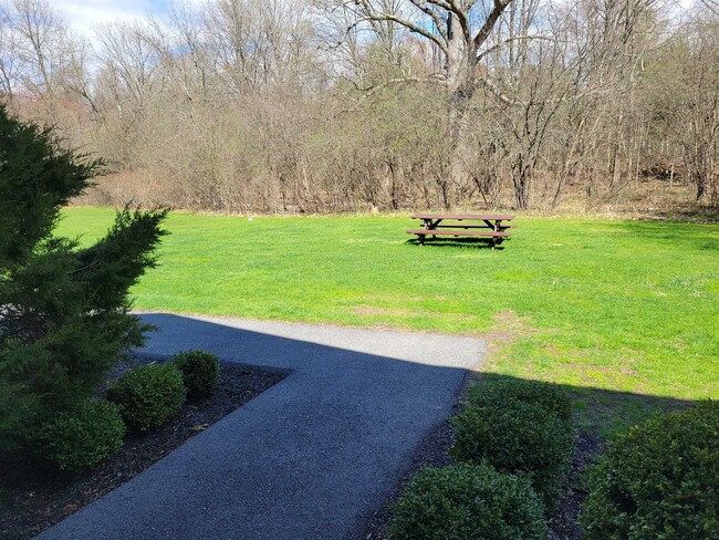 Photo - 88 Tivoli Gardens