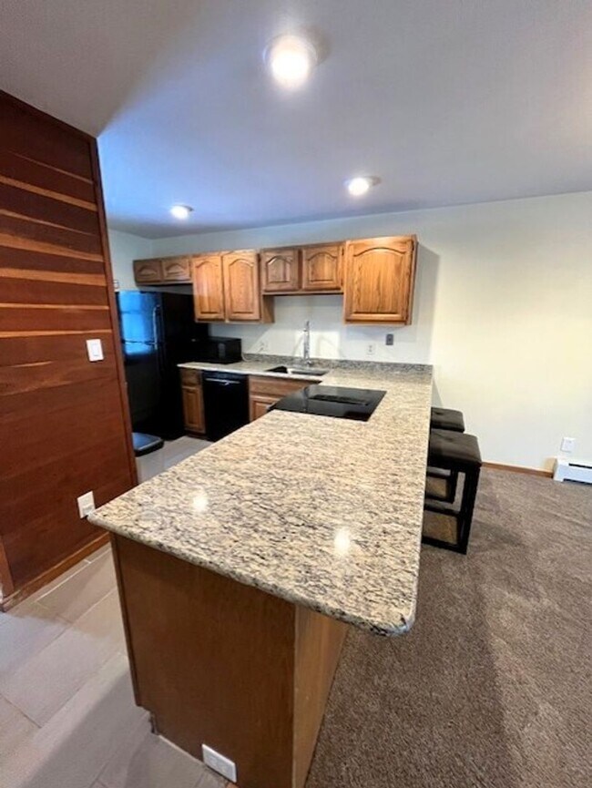 Photo - Long Term Rental- Snowscape 102 Unit 2 #102