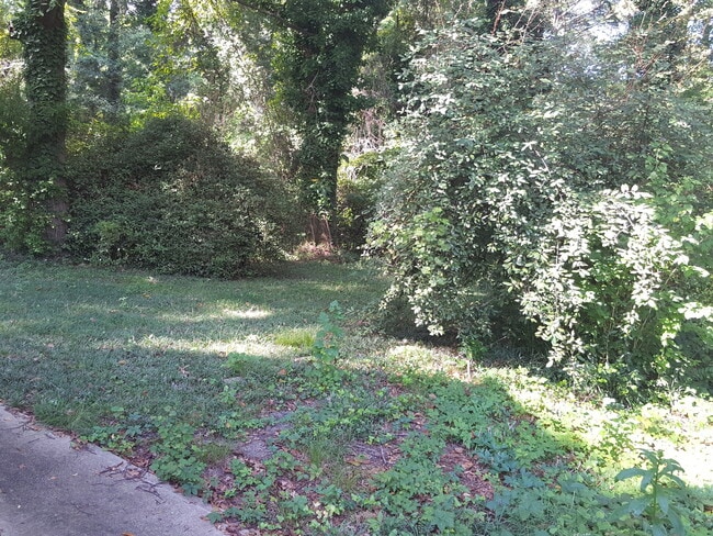 Photo - Wonderful Westridge