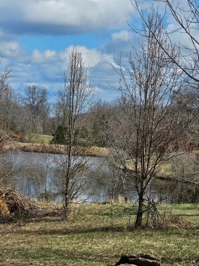 Photo - 325 Trinity Ln