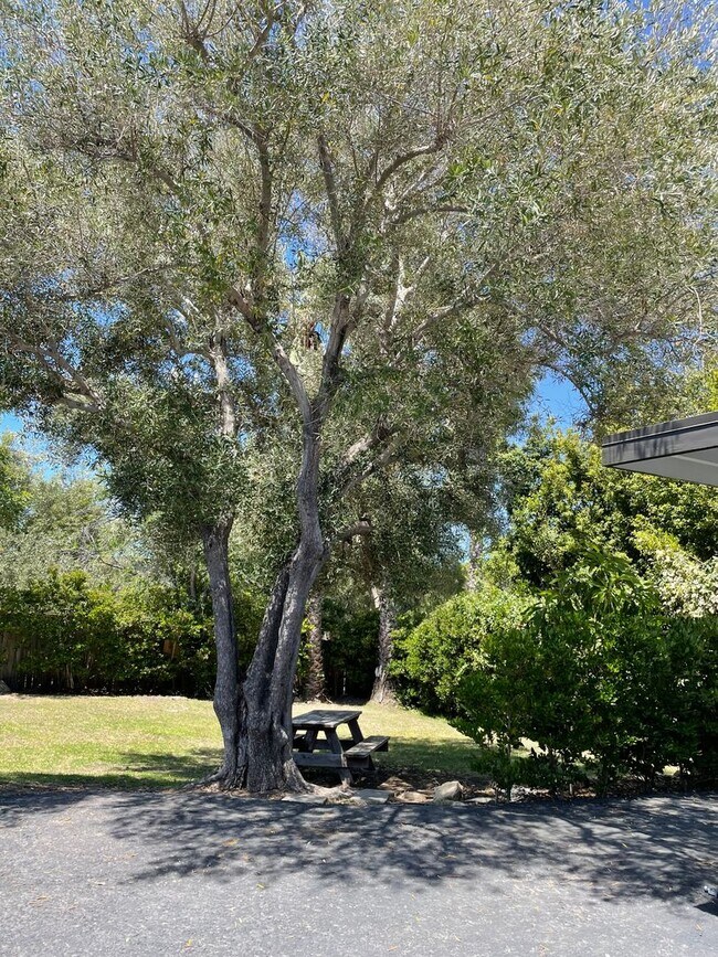 Photo - 1025 N Milpas St Unit 3