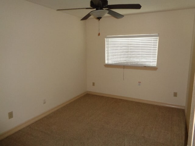 Photo - 10205 Wood Fern Ct