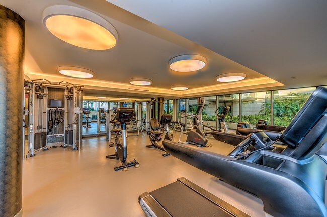 Gimnasio - The Seychelle