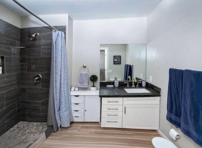 Photo - Charming Studio in Las Vegas