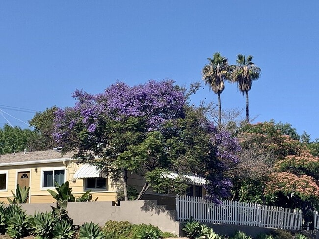 Photo - 7102 Mohawk St