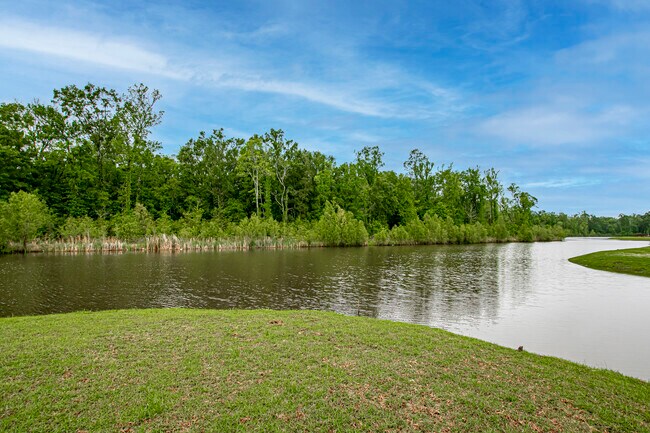 Photo - 1130 Shadow Bluff Dr