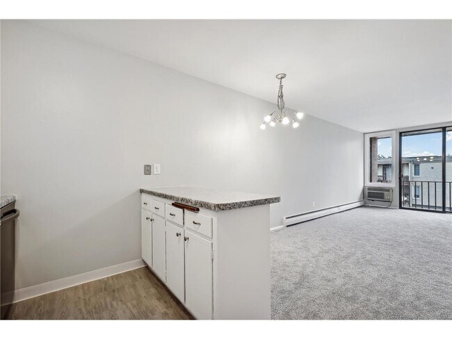 Photo - 4029-4014 14th Ave S Unit 14G