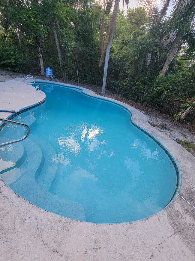Pool - 1116 Madrid Ave Rental