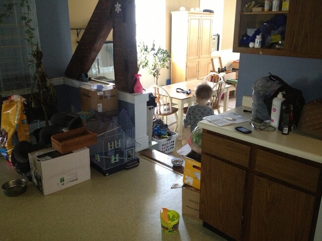 Photo - 79 Lower Creek Rd