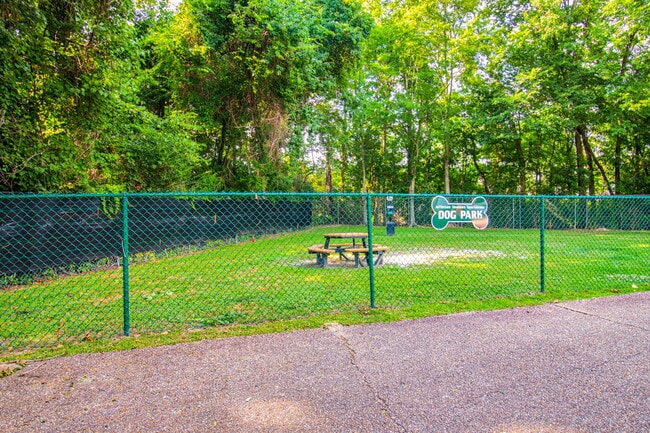 Photo - Jefferson Shadows