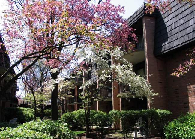 York Terrace East - York Terrace East Apartments