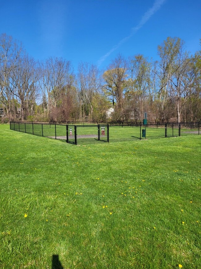 Pet Park
