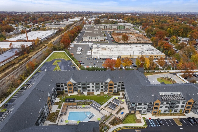 Photo - Canter Green