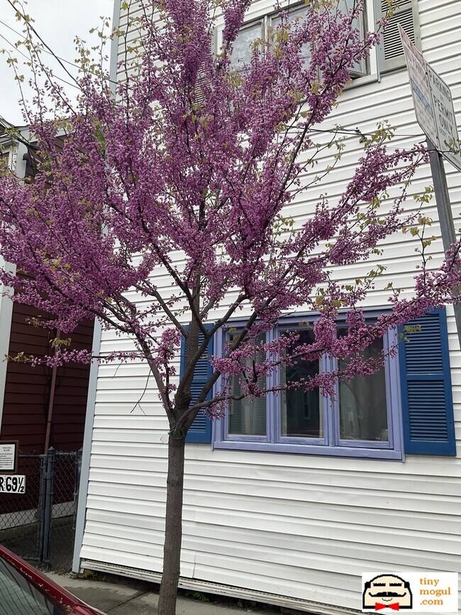 Building Photo - 67 Gore St Unit 2R