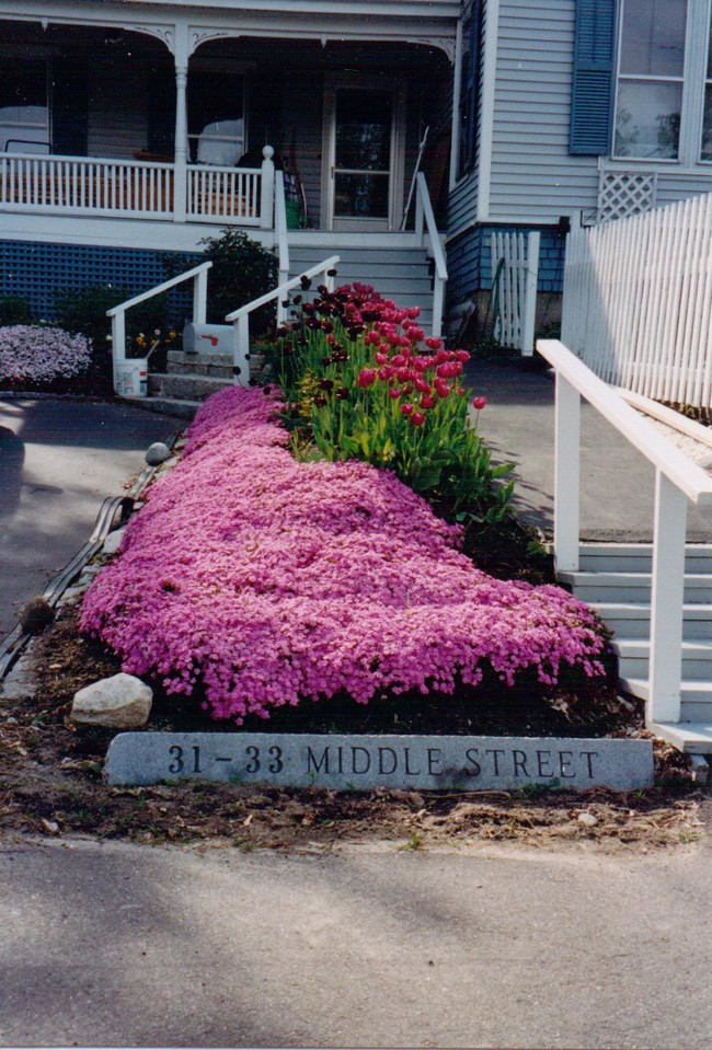 Entry to 33 Middle - 33 Middle St Apartments