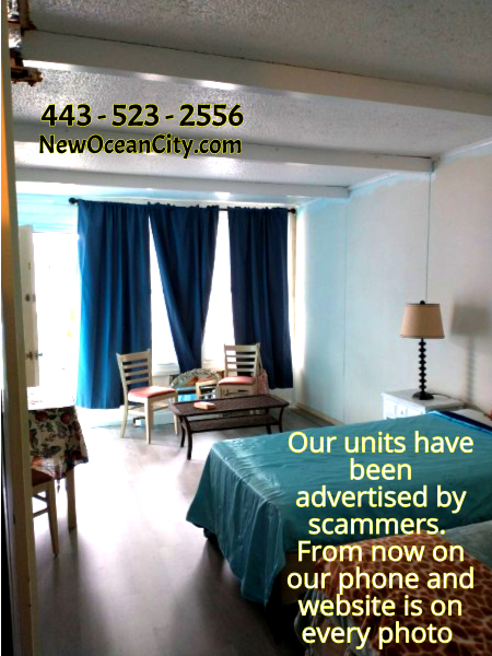 Photo - 7 45th St Unit 223