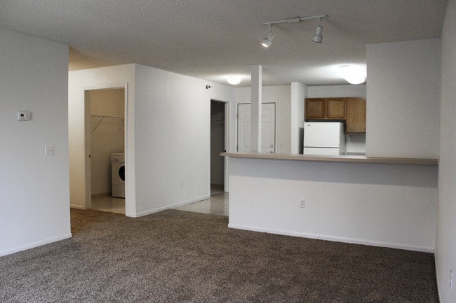 The Shores - 62 + Community