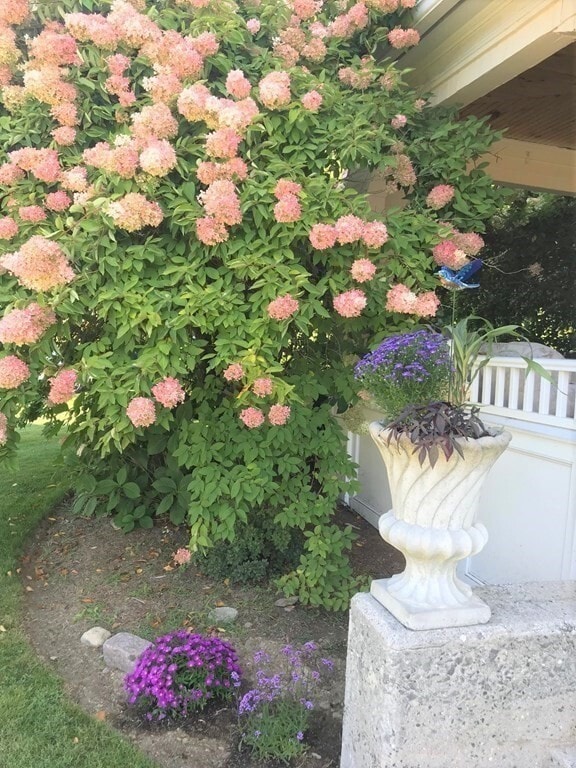 Photo - 35 Grafton St Unidad 2