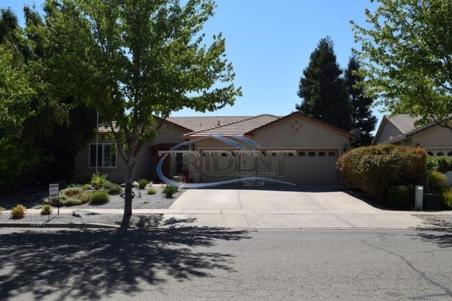 Building Photo - 4 bedroom, 3 bath house with den/office