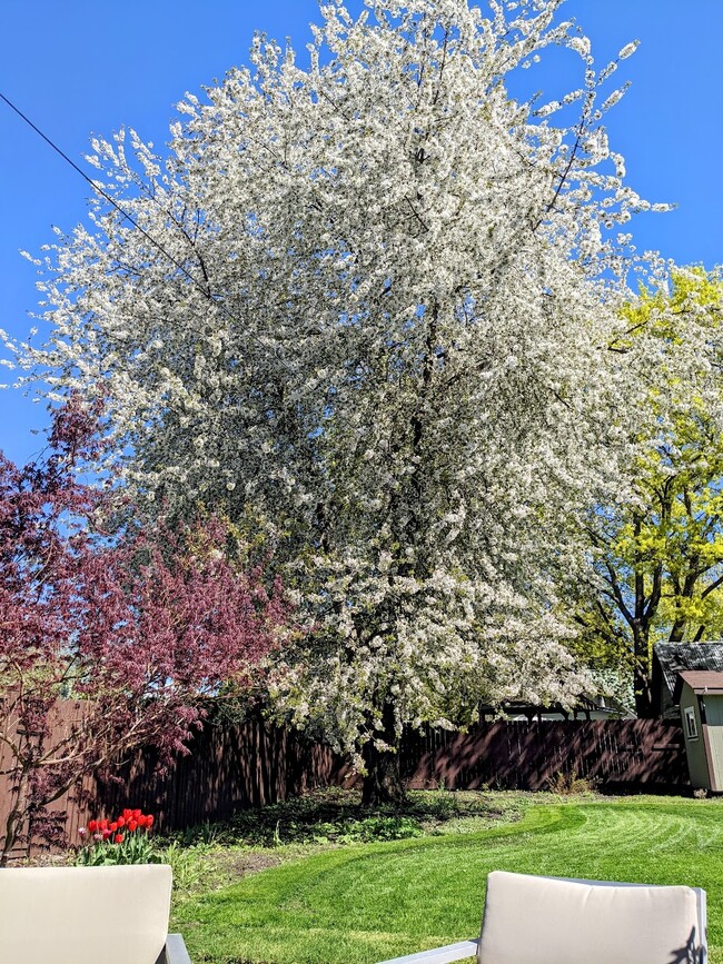 Photo - 241 W Walnut Ave