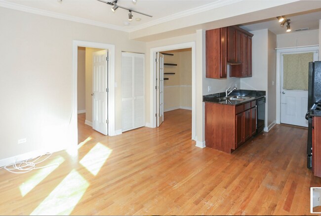 Building Photo - 644 W Roscoe St Unit 628-1N Rental