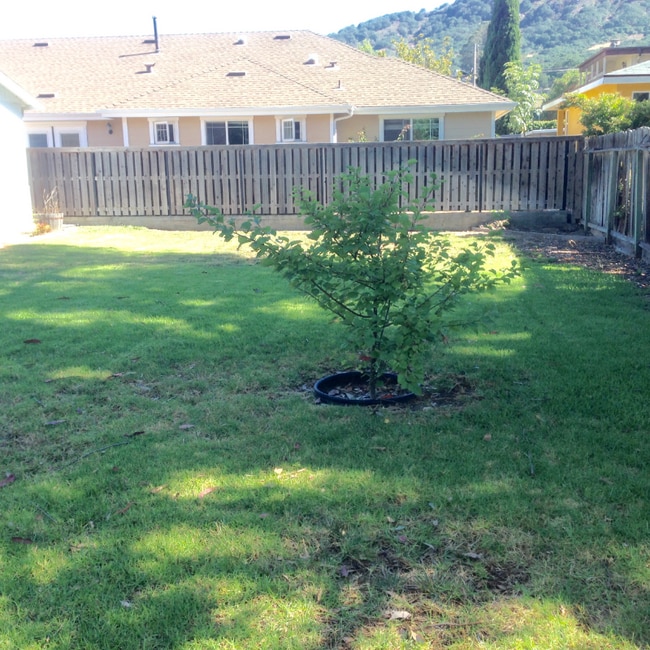 Photo - 140 Cuesta Dr