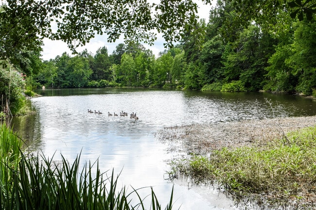 523 Blue Ridge Crossing