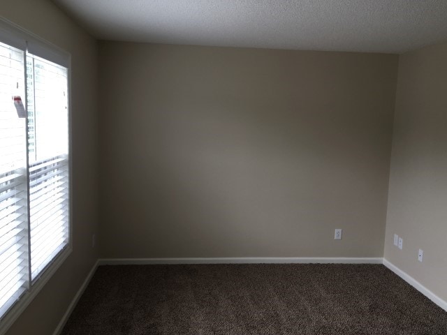 Photo - 4809 Tommans Trl