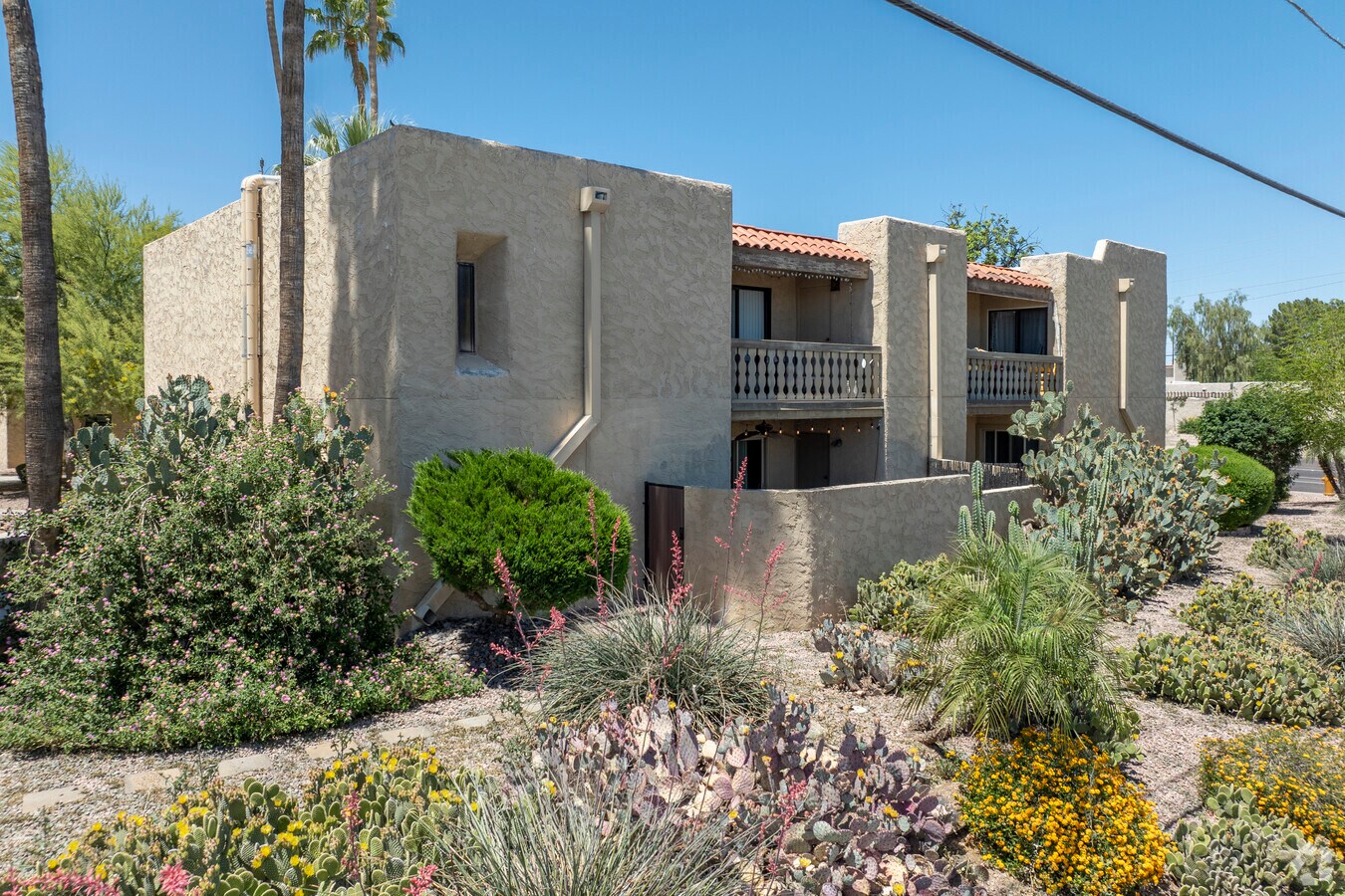 Photo - El Chaparral