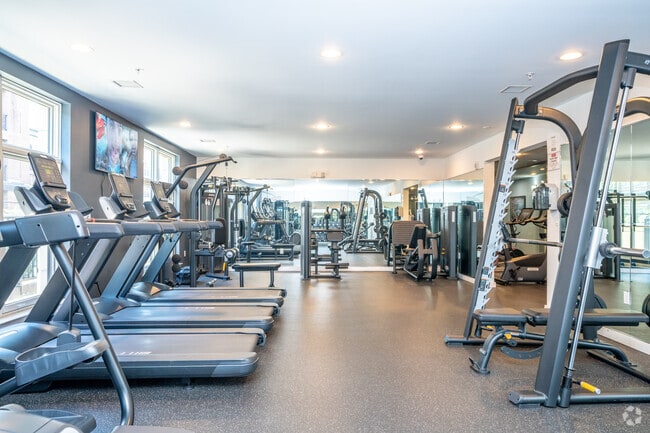 Gimnasio - The Jordan