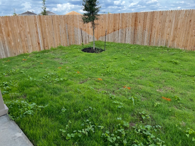 Photo - 14627 Sweet Clover