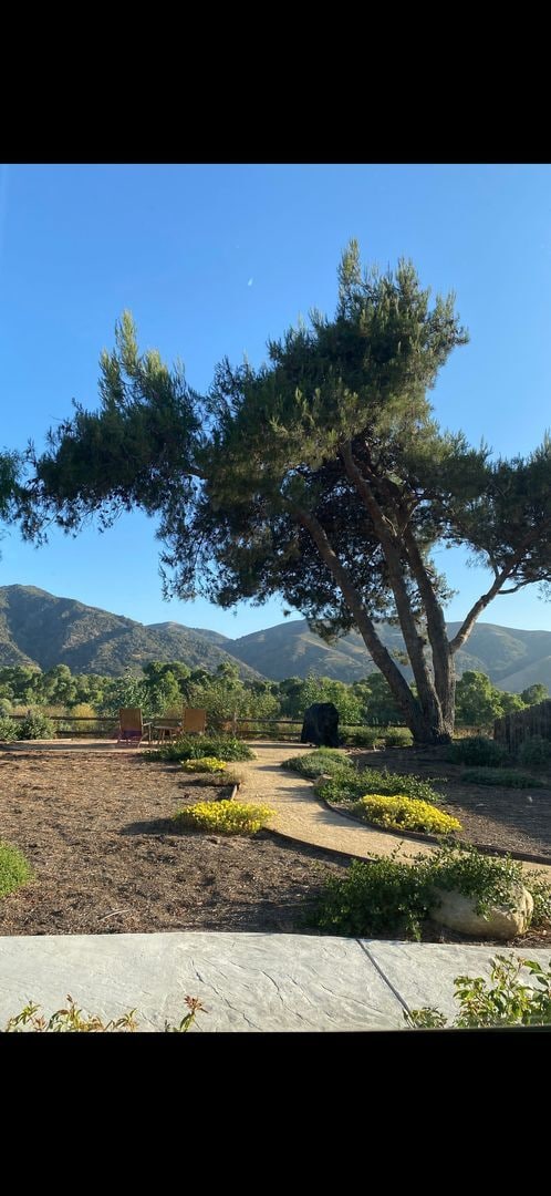 Photo - VIEWS VIEWS VIEWS