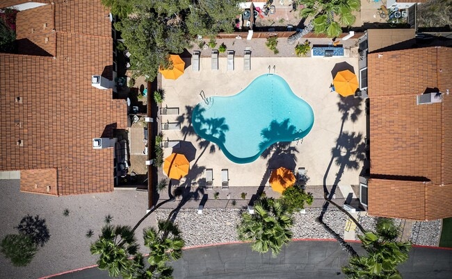 Building Photo - Orange Tree Village