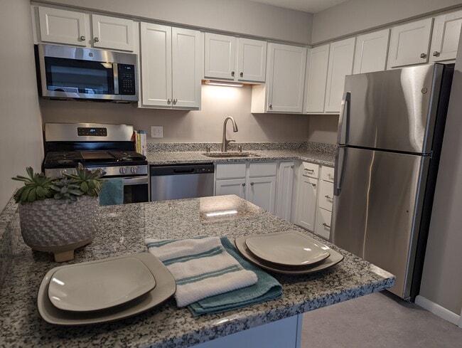 Remodeled kitchen - Idaho Park East Rental