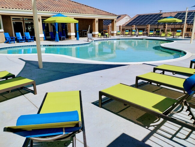 Olive Tree Apartments - Olive Tree Apartments