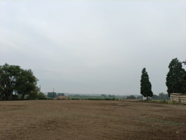Photo - 1321 Nelson Rd