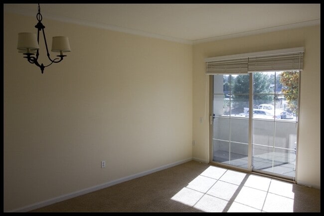 Building Photo - Gorgeous One Bedroom Condo in DownTown of ...