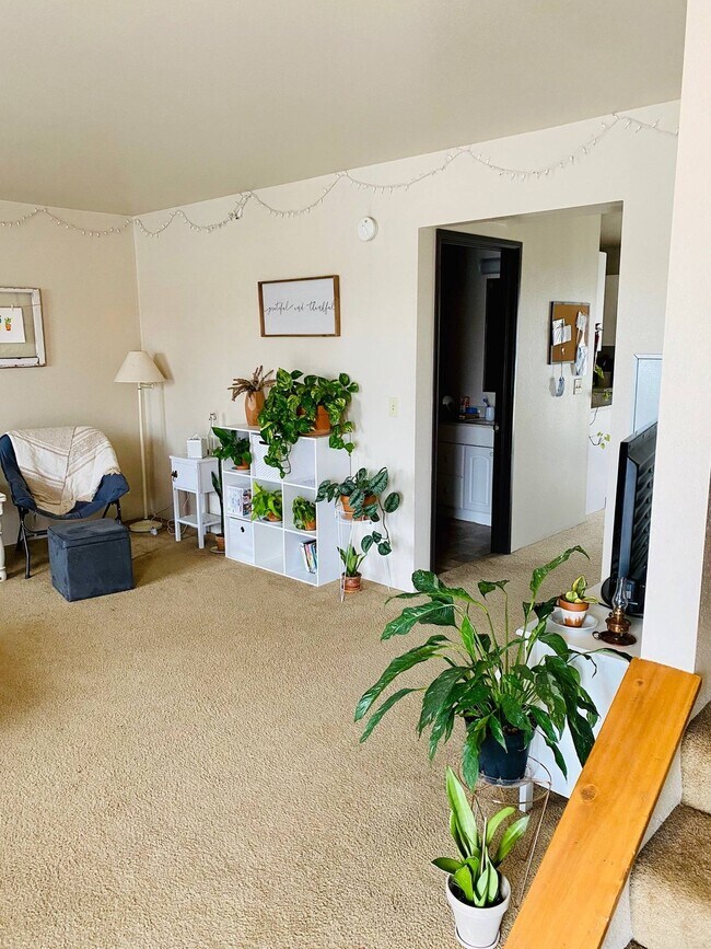 Rapids Apartments OffCampus Housing, Big Rapids, MI ForRentUniversity