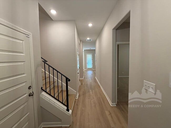 Photo - 100 Downy Birch Cv