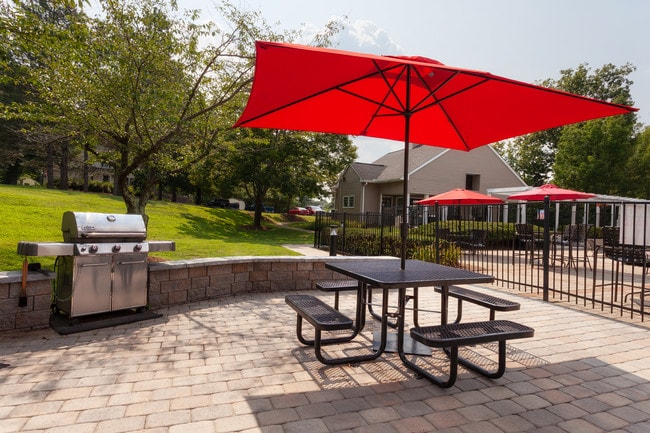 Gas Grills & Picnic Tables