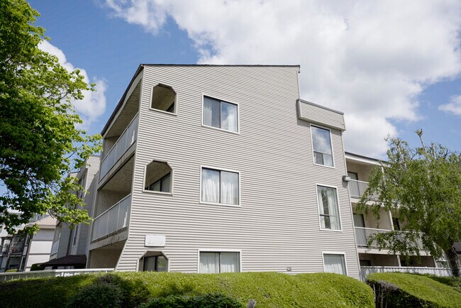 Photo - Mountain Ridge