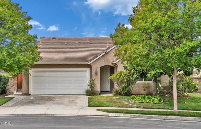 24889 Ash Tree Ct