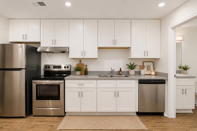 Apartment Kitchen - Maple Creek