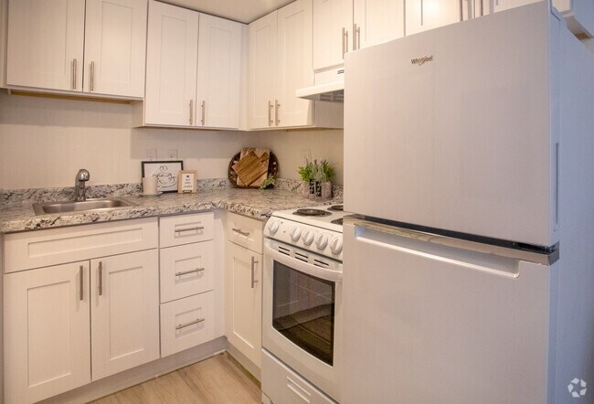 Studio-253SF - Altera 3100