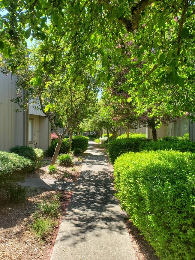 Path just outside front door. - 1710 Oldfield Way